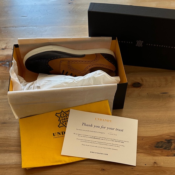 UNDANDY Brown and Blue Oxford Shoes - Picture 8 of 9